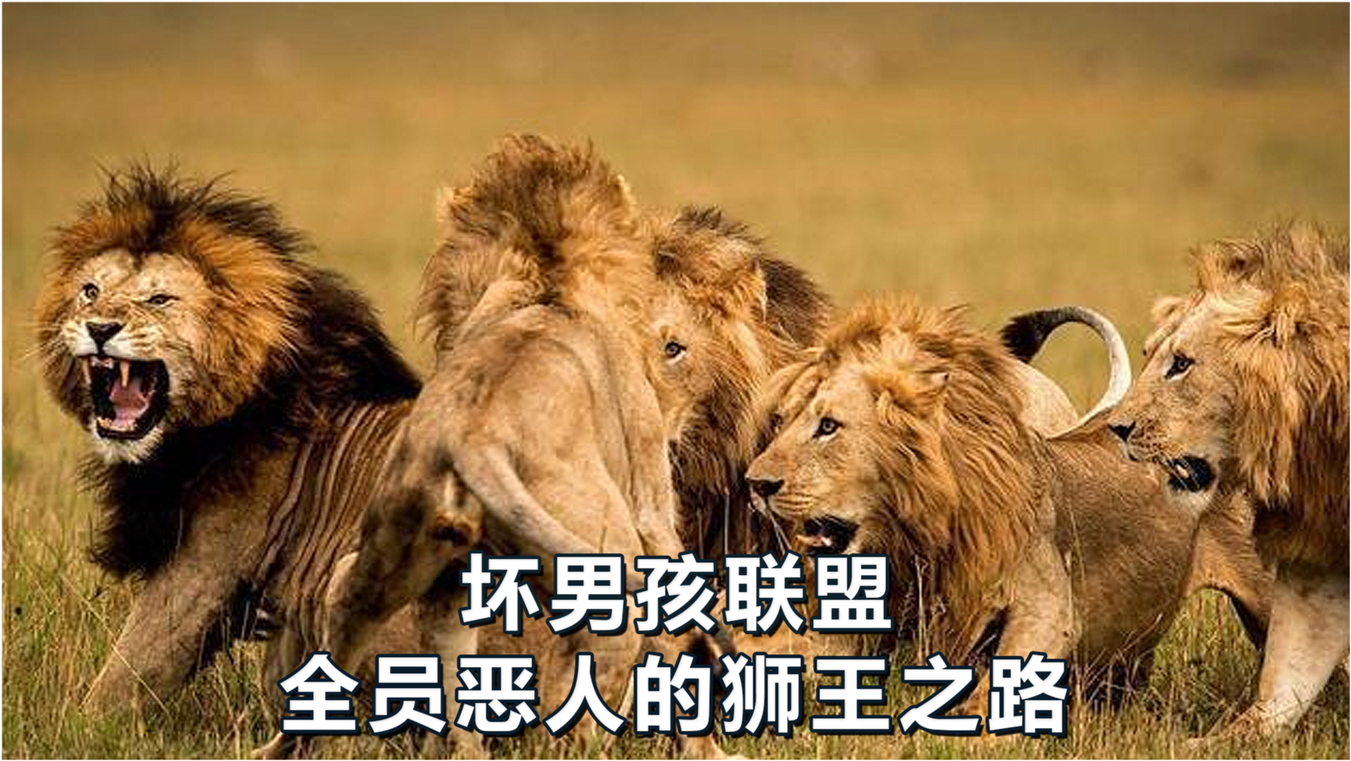 王中王必中一肖四不像圖——深度解析與探索,王中王必中一肖四不像圖深度解析與探索揭秘