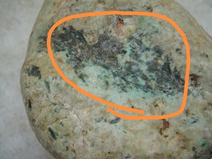 揭秘常見十大癬圖片及其特征,揭秘常見十大癬病癥圖片及其特征解析