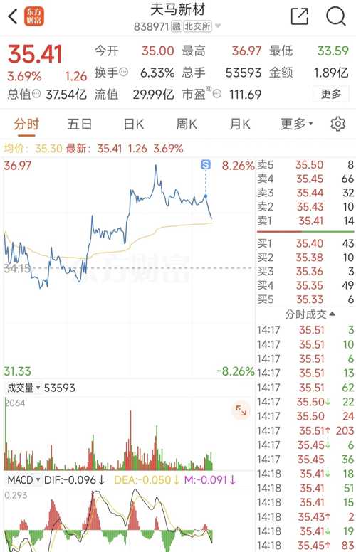 天馬微電子股票,投資前景深度解析,天馬微電子股票投資前景深度解析