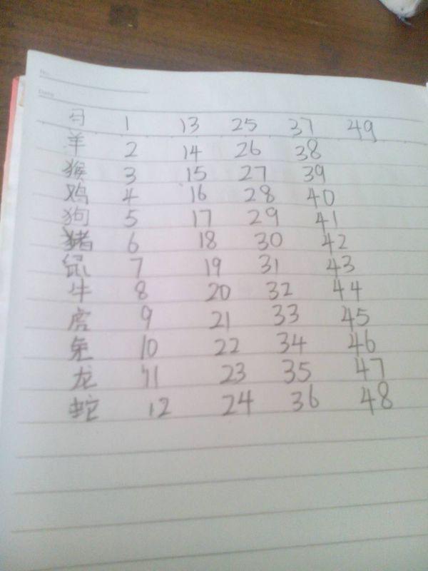 2025十二生肖與49碼表對照解析,十二生肖與49碼表對照解析 預測未來走向