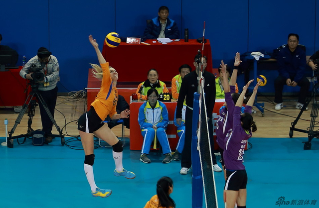 王中王三肖選一肖，深度解析與SEO策略，王中王三肖選一肖，深度解析與SEO策略全攻略