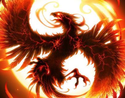 王中王精準(zhǔn)一肖中鳳凰，揭秘預(yù)測(cè)之謎，揭秘王中王精準(zhǔn)預(yù)測(cè)一肖中鳳凰的奧秘