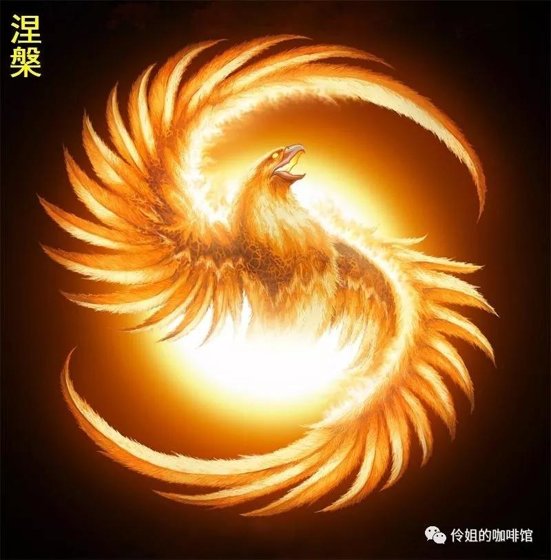 王中王精準一肖中鳳凰,揭秘預測之謎,揭秘王中王精準預測一肖中鳳凰的奧秘