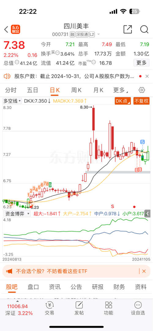 四川美豐股份股票,深度解析與發展前景展望,四川美豐股份股票深度解析與未來發展前景展望
