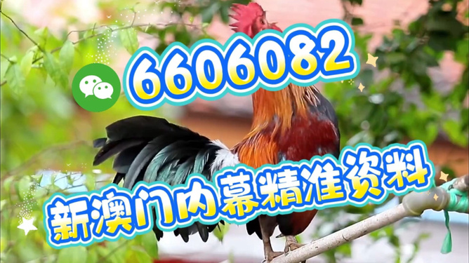 澳門特馬今天開獎結果,揭秘彩票背后的秘密,澳門特馬今天開獎結果揭秘,彩票背后的秘密大揭曉