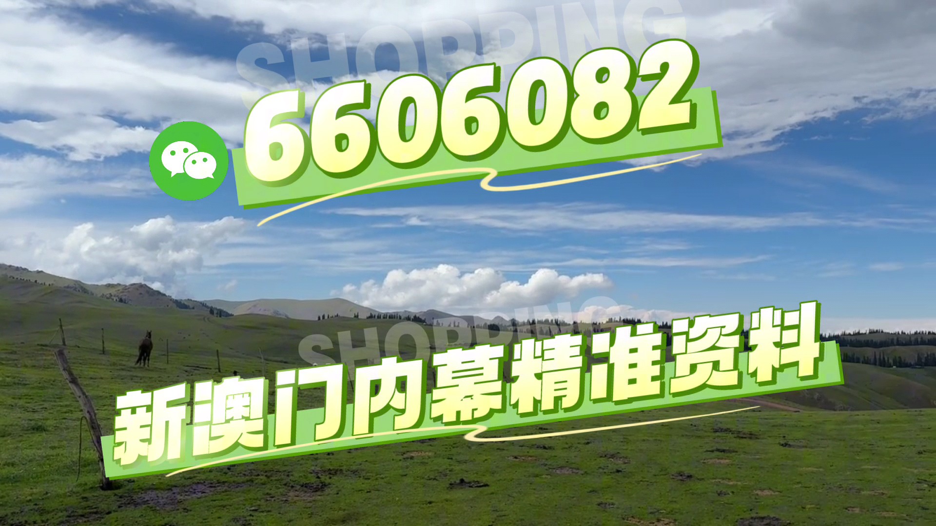 澳門今晚必開一肖一特，揭秘生肖彩票的魅力與策略，澳門生肖彩票揭秘，必開一肖一特的魅力與策略探討