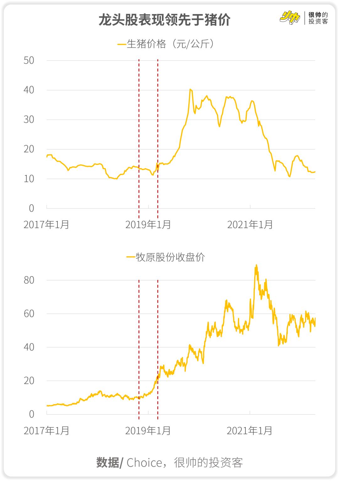 牧原股份股票行情深度解析,牧原股份股票行情全面深度解析