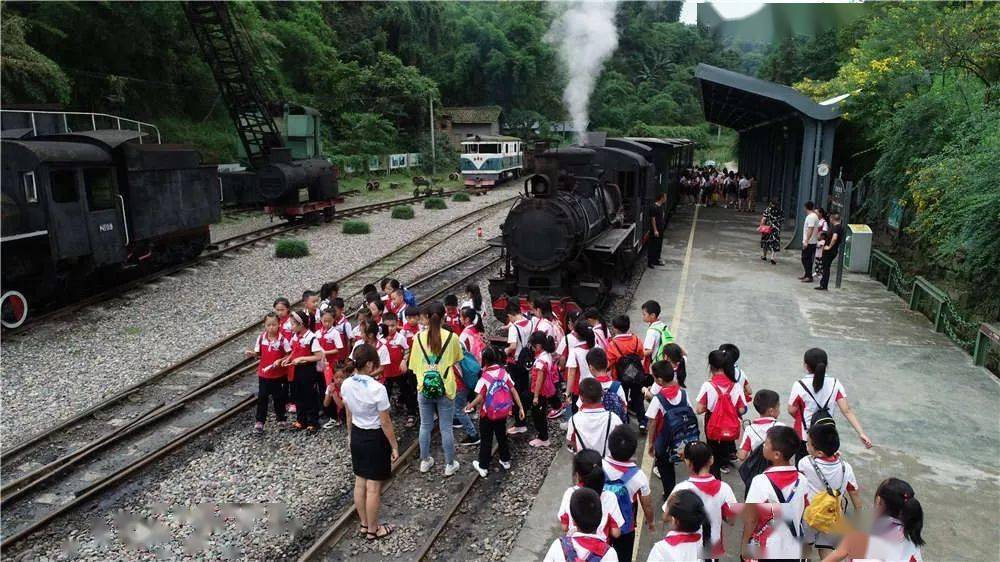 好料盡在王中王——揭秘生肖運勢背后的秘密,揭秘生肖運勢背后的秘密,王中王品質之選