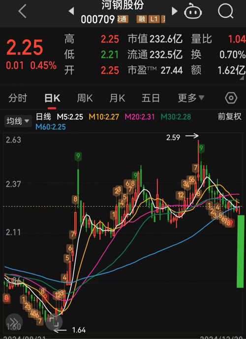 河鋼股票(代碼,000709)深度解析與前景展望,河鋼股票(代碼000709)深度解析及未來前景展望