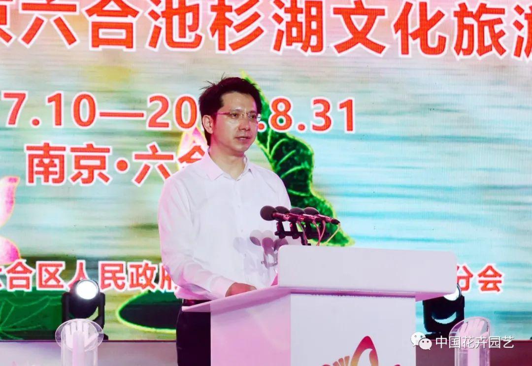 澳門六合最快開獎結果,揭秘彩票背后的秘密與策略,澳門六合彩票開獎揭秘,策略與秘密探究