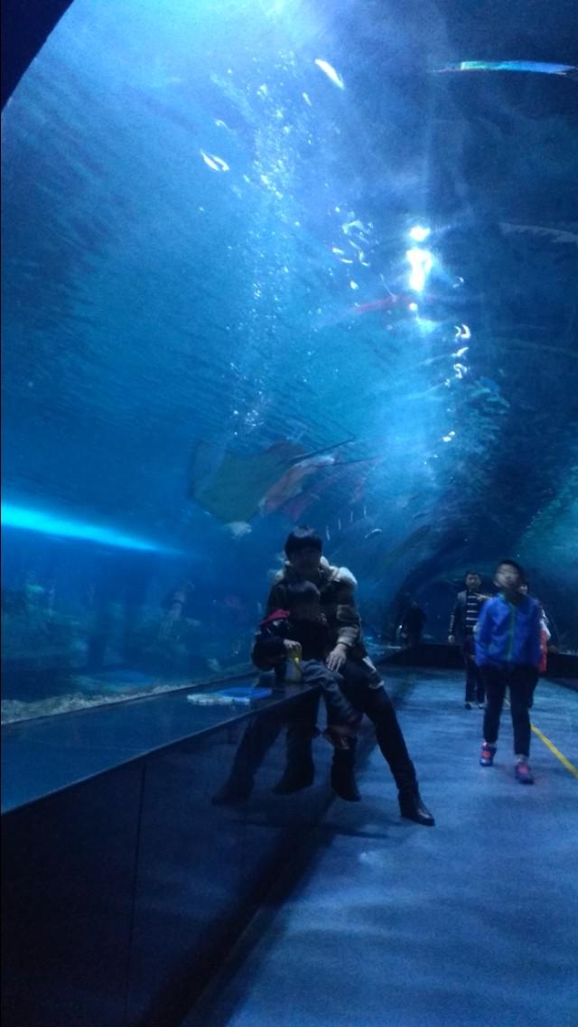 天津一日游，探索城市中的好玩地方，天津一日游，探尋城市魅力，暢游好玩之地