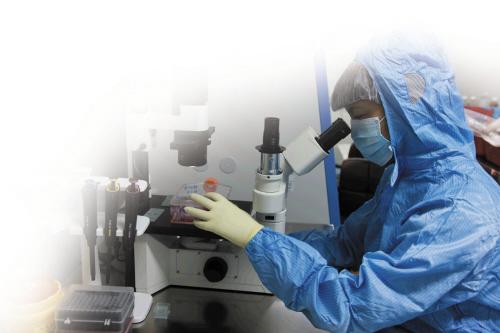 造影檢查費用詳解，價格因何而異，造影檢查費用解析，價格差異原因探究