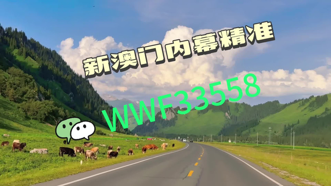 王中王一肖一馬中特,探尋背后的故事與奧秘,探尋王中王一肖一馬背后的故事與奧秘