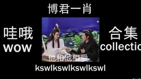 一肖二嗎,深度解析與探索,一肖二嗎,深度解析與探索之旅