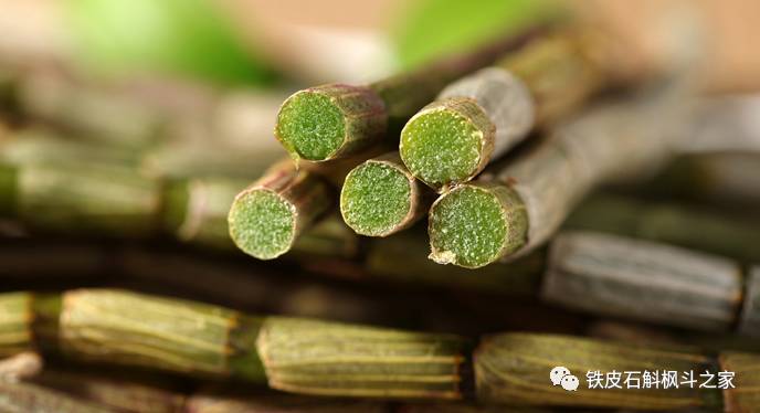 女人吃石斛的潛在風險與注意事項，女人食用石斛的潛在風險及注意事項