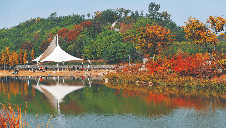 探索附近公園,離你最近免費景點的秘密,揭秘附近公園與免費景點的神秘面紗