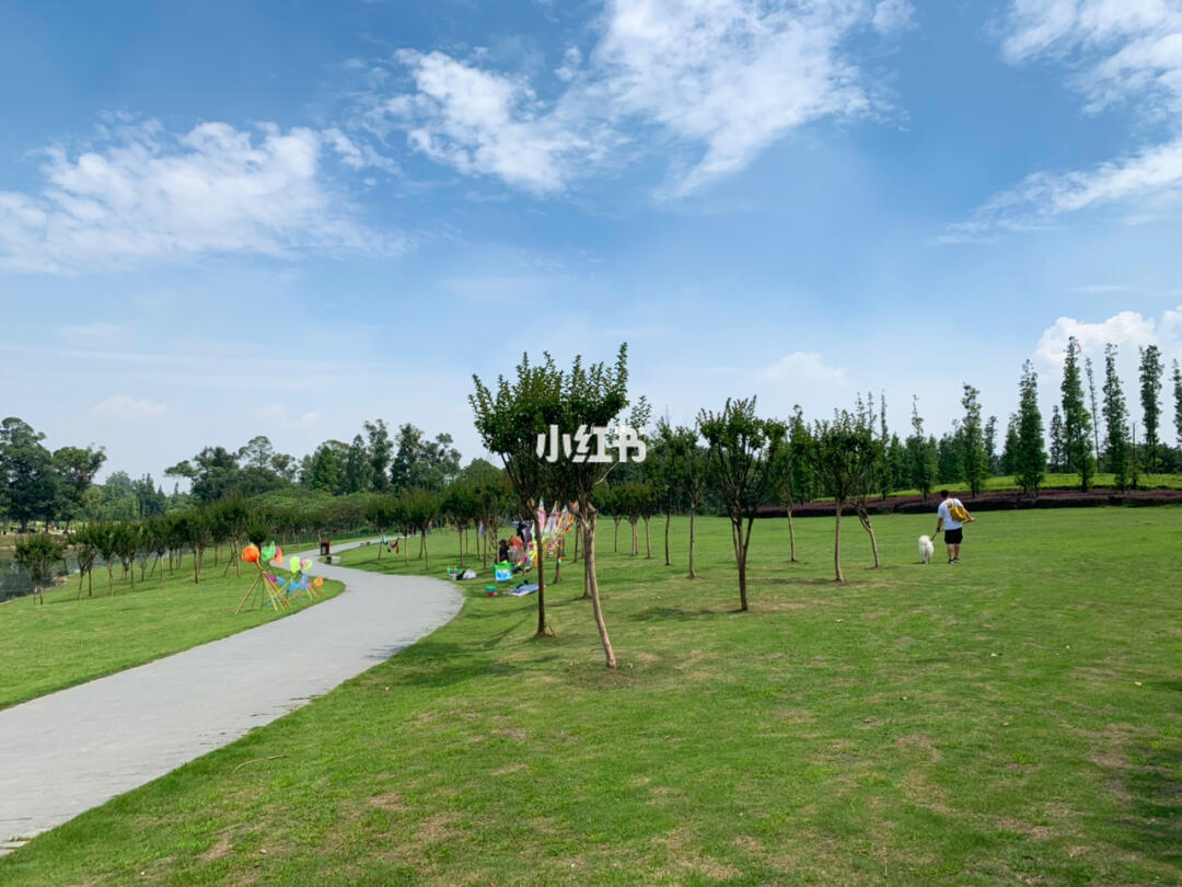 探索附近公園,離你最近免費景點的秘密,揭秘附近公園與免費景點的神秘面紗