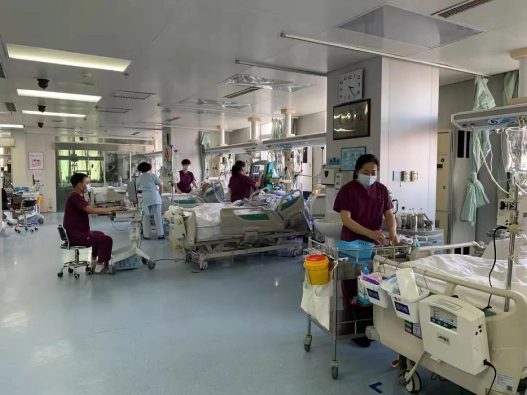 沈陽婦科醫院的專業服務與優勢解析,沈陽婦科醫院的專業服務與優勢深度解析