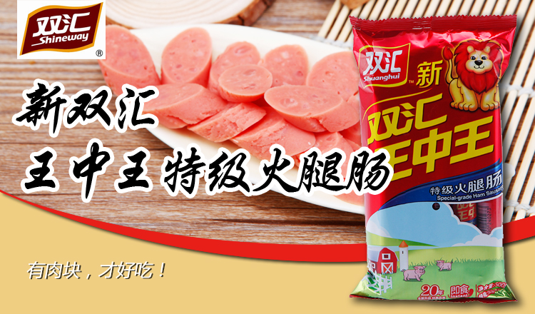 王中王一肖一嗎種特岡，深度解析與SEO戰略，王中王一肖一嗎種特岡，深度解析與SEO戰略布局