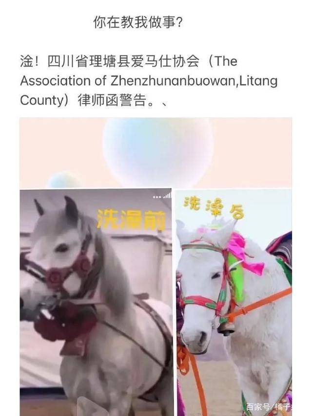 一馬爆特圖，揭秘背后的故事與SEO優(yōu)化策略，揭秘一馬爆特圖的背后故事與SEO優(yōu)化策略全攻略