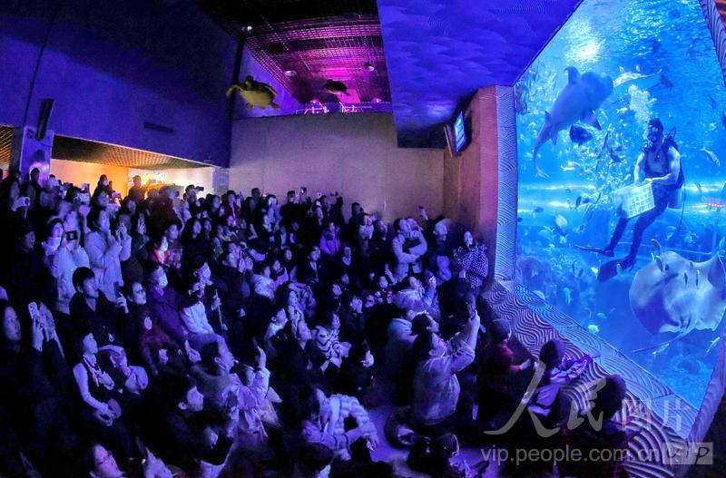 新澳2025今晚開獎結果，揭秘彩票背后的秘密與期待，揭秘新澳2025彩票開獎背后的秘密與期待，今晚開獎結果揭曉！