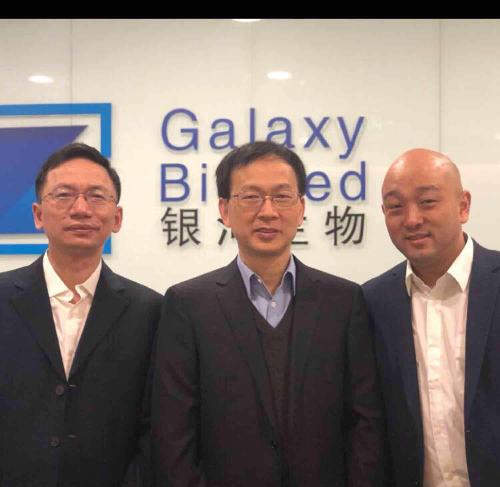 關于代碼000806的奧秘,深度解析與SEO優化策略,代碼000806奧秘揭秘,深度解析與SEO優化策略探討