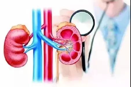 尿酸水平升高與腎臟健康,尿酸460是否意味著腎臟已經受損?,尿酸水平升高與腎臟健康關系解析,尿酸460是否預示腎臟受損?