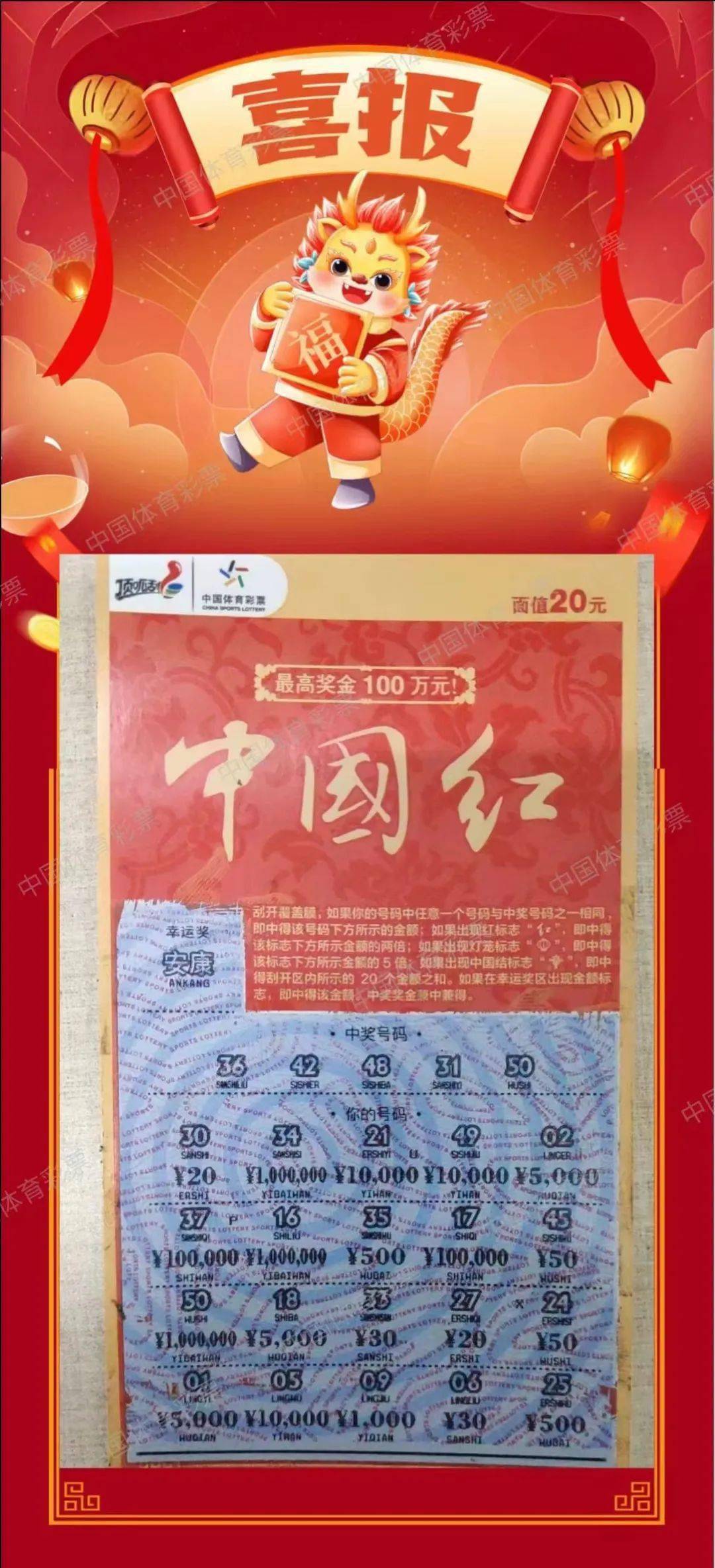 紅燈籠平特一肖王中王,探尋背后的神秘與魅力,紅燈籠平特一肖王中王,神秘魅力背后的探尋