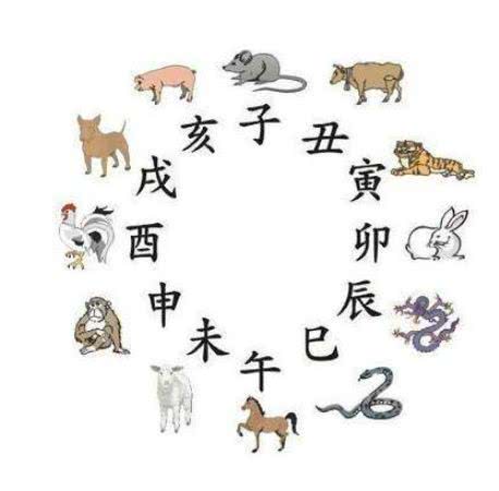 揭秘今晚9點(diǎn)30生肖運(yùn)勢(shì),你的生肖運(yùn)勢(shì)如何?,揭秘今晚9點(diǎn)30生肖運(yùn)勢(shì),你的生肖運(yùn)勢(shì)走向如何?