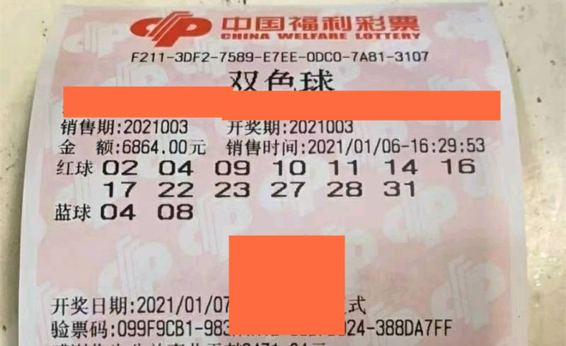 香港特馬開碼開獎結果今天，深度解析與預測，香港特馬今日開獎結果深度解析與預測