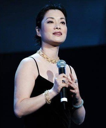 毛阿敏個(gè)人資料及年齡詳解,毛阿敏個(gè)人資料與年齡揭秘