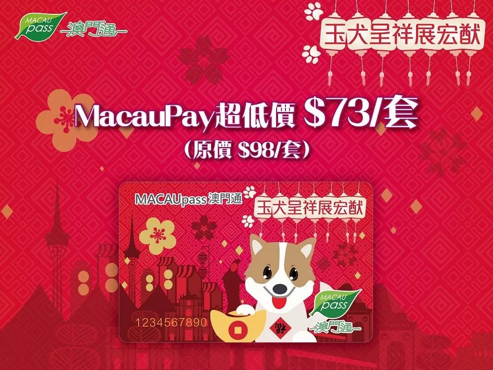 澳門六福生肖鼠開獎結果,揭秘彩票背后的神秘面紗,澳門六福生肖鼠開獎結果揭秘,彩票背后的神秘面紗展開