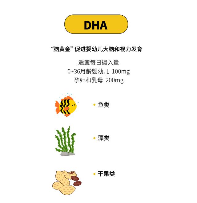孕婦吃DHA的最佳時間,孕婦DHA攝入的最佳時機