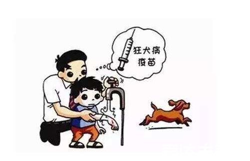 關(guān)于狂犬疫苗,你真的需要了解的事實(shí),關(guān)于狂犬疫苗,你必須知道的真相