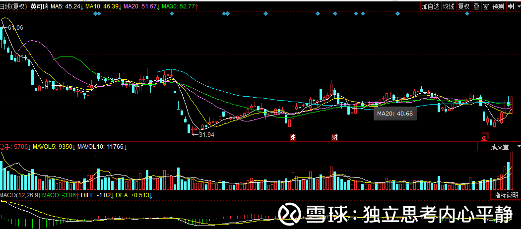 股票300682,深度解析與前景展望,股票300682深度解析與未來前景展望