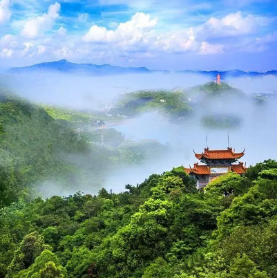 東莞十大旅游景點排行,探索魅力城市的最佳旅游地,東莞魅力城市探秘,十大最佳旅游景點排行榜單