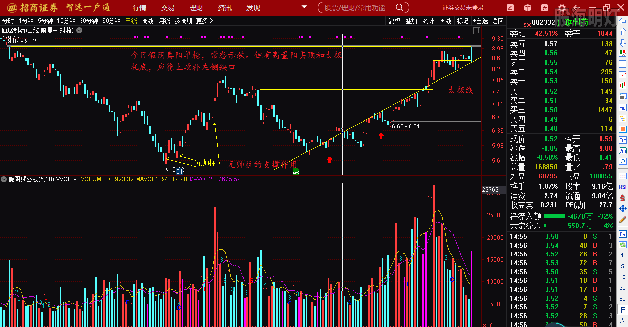 仙琚制藥股票（代碼，002332）深度解析，仙琚制藥股票深度解析（代碼，002332）