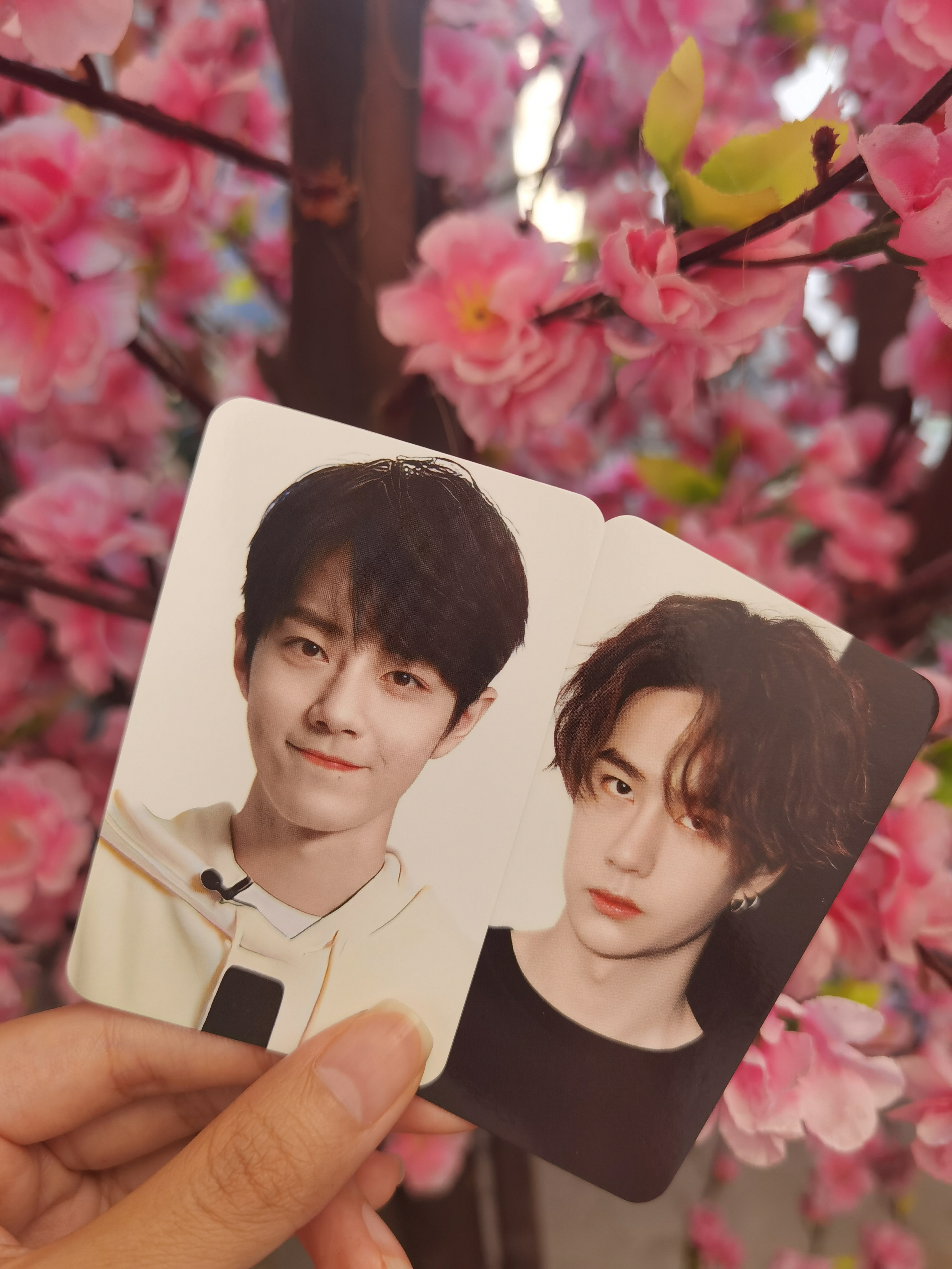 王中王一肖中特一肖精準預測——揭秘生肖運勢的秘密，揭秘生肖運勢，王中王一肖精準預測特選生肖運勢秘密