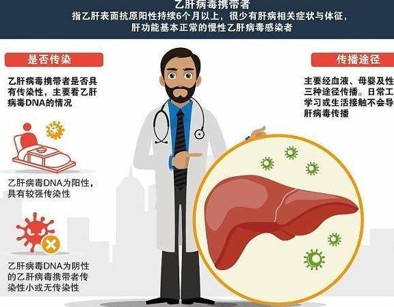乙肝病毒攜帶者可怕嗎，深入了解與正確應對，乙肝病毒攜帶者的真相，深入了解與正確應對之道