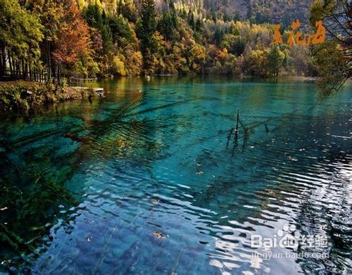 九寨溝風景區(qū)景點詳細介紹,九寨溝風景區(qū)景點全面詳解