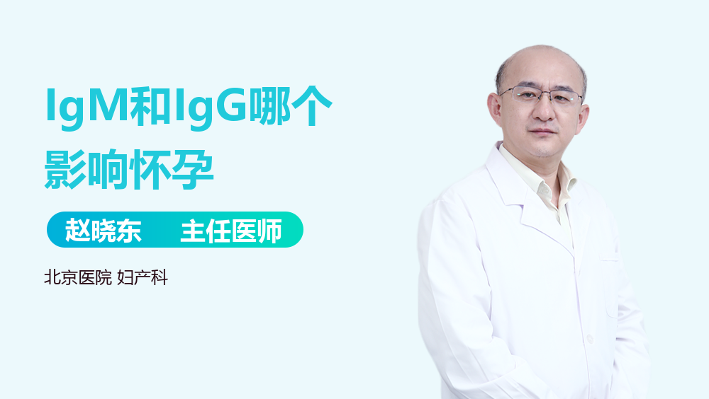 IGM和IGG哪個影響懷孕?深入了解背后的真相,IGM和IGG對懷孕的影響,探究背后的真相