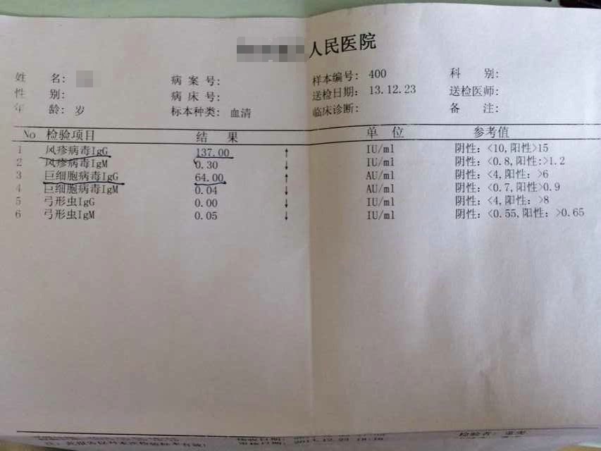 IGM和IGG哪個影響懷孕?深入了解背后的真相,IGM和IGG對懷孕的影響,探究背后的真相
