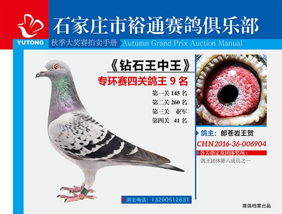 王中王一期一肖特中獎(jiǎng),揭秘彩票背后的秘密與策略,揭秘彩票背后的秘密與策略,王中王一期一肖特中獎(jiǎng)解析