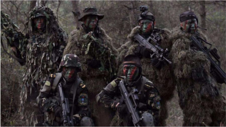 揭秘龍焱特種部隊曝光原因,榮耀與使命的雙重驅動,揭秘龍焱特種部隊曝光原因,榮耀與使命的雙重驅動下的力量展現