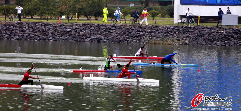 王中王一肖一馬期期中特，深度解析與SEO優化策略，王中王一肖一馬期期中特深度解析與SEO優化策略指南