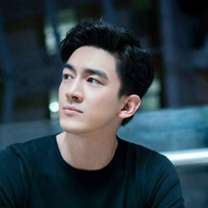 林更新個(gè)人簡(jiǎn)歷及出演電視劇介紹,林更新個(gè)人簡(jiǎn)介與出演電視劇概覽