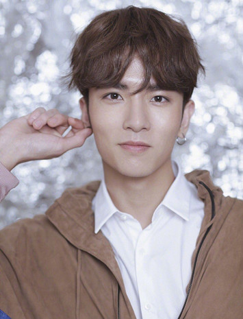 關于300495的最新消息全面解析,300495最新消息全面解析