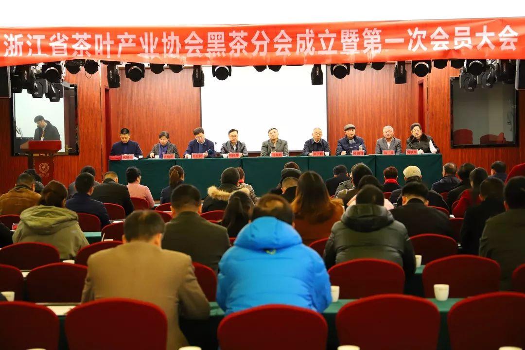 駱駝股份股吧深度解析,探究企業(yè)潛力與價值,駱駝股份股吧深度解析,探究企業(yè)潛力與價值展望