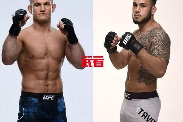 澳門六開獎結果記錄圖,探索彩票背后的秘密,澳門六開獎結果記錄圖揭秘彩票背后的秘密