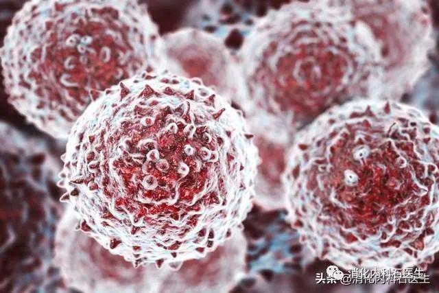 女性HPV真實圖片與早期識別的重要性,女性HPV真實圖片與早期識別的重要性及其影響